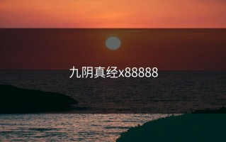 九阴真经x88888