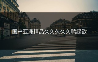 国产亚洲精品久久久久久鸭绿欲
