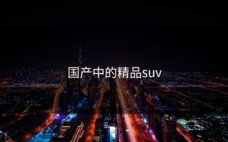 国产中的精品suv