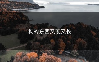 狗的东西又硬又长