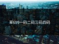 草699一码二码三码四码