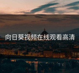 向日葵视频在线观看高清