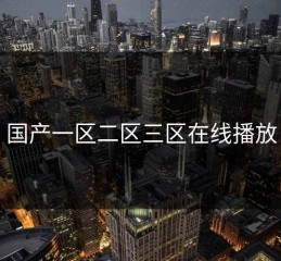 国产一区二区三区在线播放
