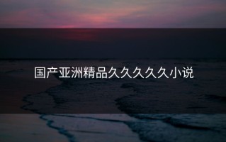 国产亚洲精品久久久久久小说