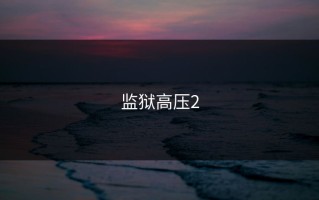 监狱高压2