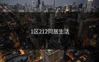 1区212同居生活