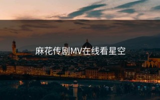 麻花传剧MV在线看星空