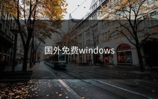 国外免费windows