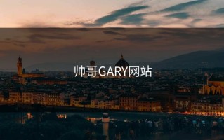 帅哥GARY网站