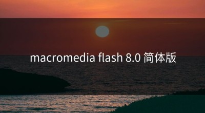 macromedia flash 8.0 简体版