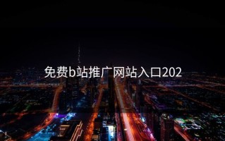 免费b站推广网站入口202