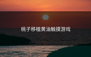 桃子移植黄油触摸游戏