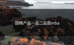 国精产品一品二品国mba