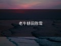 老牛耕田陈雪
