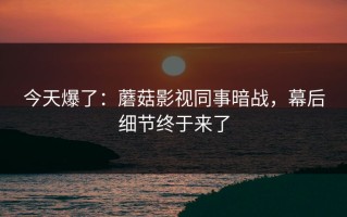 今天爆了：蘑菇影视同事暗战，幕后细节终于来了