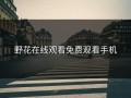 野花在线观看免费观看手机