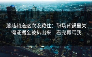 蘑菇频道这次没藏住：职场背锅里关键证据全被扒出来｜看完再骂我