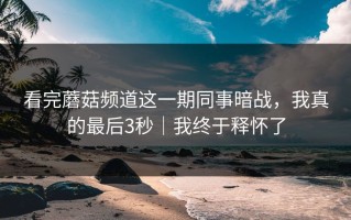 看完蘑菇频道这一期同事暗战，我真的最后3秒｜我终于释怀了