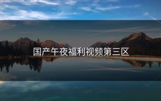 国产午夜福利视频第三区