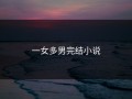 一女多男完结小说