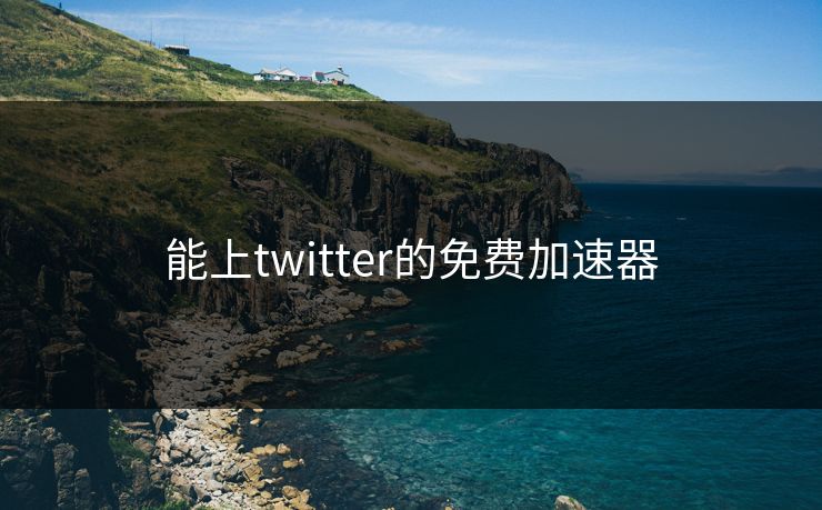 能上twitter的免费加速器-第1张图片-17c影院官网入口 - 在线日韩影视中心