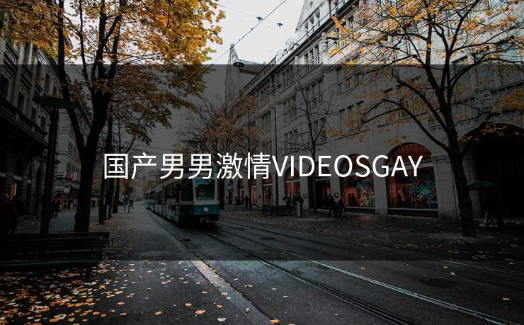 国产男男激情VIDEOSGAY-第1张图片-17c影院官网入口 - 在线日韩影视中心